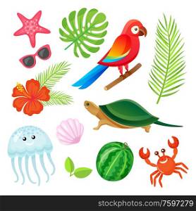 Parrot bird, fern leaves, crab and shell, jellyfish and watermelon, sunglasses and starfish. Summer elements or tropical objects isolated on white vector. Summer Elements, Plants and Animals Objects Vector