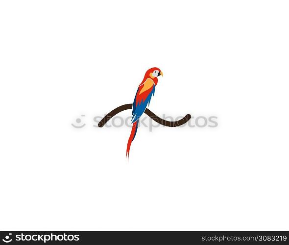 Parrot bird image logo vector