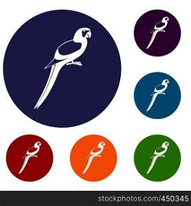 Parrot icons set in flat circle reb, blue and green color for web. Parrot icons set