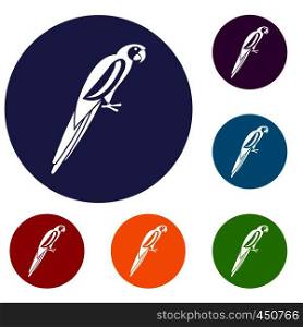 Parrot icons set in flat circle reb, blue and green color for web. Parrot icons set