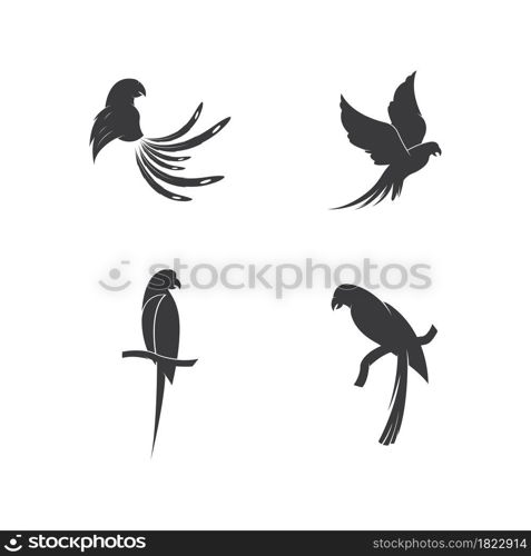 Parrot Logo Design Vector 