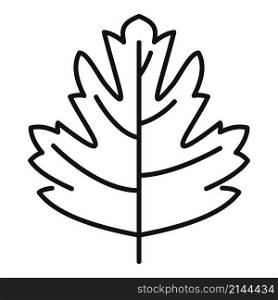 Parsley dill icon outline vector. Herb leaf. Salad plant. Parsley dill icon outline vector. Herb leaf