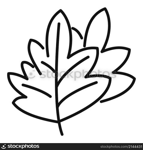 Parsley herb icon outline vector. Leaf plant. Garnish dill. Parsley herb icon outline vector. Leaf plant