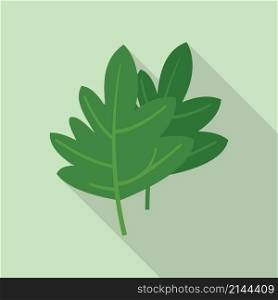 Parsley icon flat vector. Leaf herb. Garnish plant. Parsley icon flat vector. Leaf herb