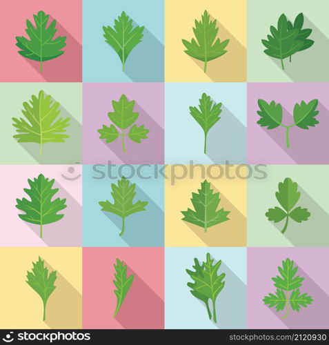 Parsley icons set flat vector. Bunch leaf. Botany herb. Parsley icons set flat vector. Bunch leaf
