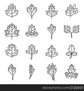 Parsley icons set outline vector. Bunch leaf. Botany herb. Parsley icons set outline vector. Bunch leaf