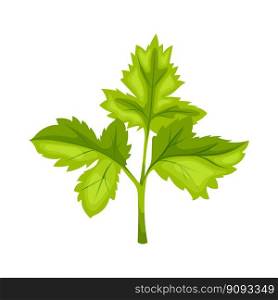 parsley leaf green cartoon. herb food, fresh ingredient, spice seasoning, raw, organic vegetarian parsley leaf green vector illustration. parsley leaf green cartoon vector illustration