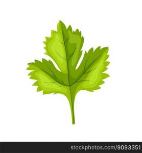 parsley leaf green cartoon. herb food, fresh ingredient, spice seasoning, raw plant, vegetarian parsley leaf green vector illustration. parsley leaf green cartoon vector illustration