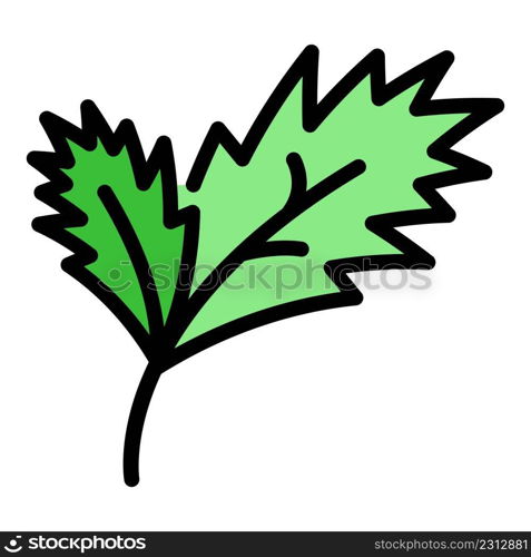 Parsley plant icon. Outline parsley plant vector icon color flat isolated. Parsley plant icon color outline vector