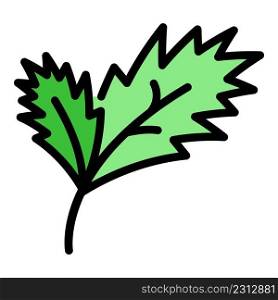 Parsley plant icon. Outline parsley plant vector icon color flat isolated. Parsley plant icon color outline vector