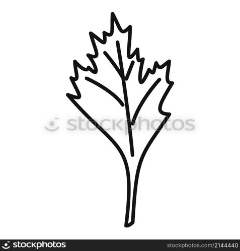 Parsley spice icon outline vector. Herb leaf. Bite plant. Parsley spice icon outline vector. Herb leaf