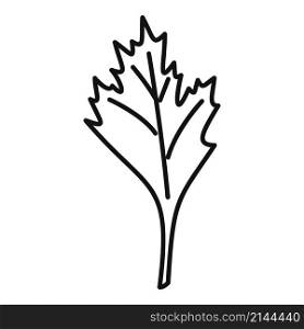 Parsley spice icon outline vector. Herb leaf. Bite plant. Parsley spice icon outline vector. Herb leaf