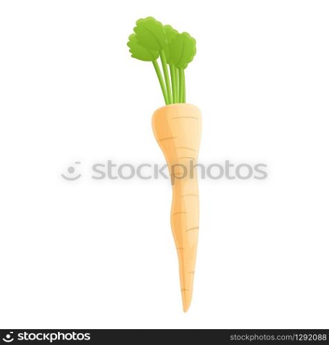 Parsnip root icon. Cartoon of parsnip root vector icon for web design isolated on white background. Parsnip root icon, cartoon style