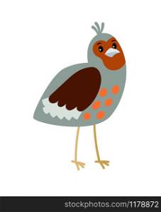 Partridge cartoon bird icon in gray and orange colors, isolated on white background, vector illustration. Partridge cartoon bird icon