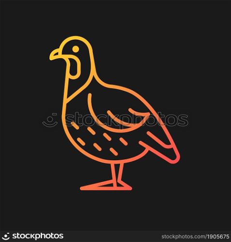 Partridge gradient vector icon for dark theme. Small domestic fowl. Commercial poultry raising. Grey landfowl breed. Thin line color symbol. Modern style pictogram. Vector isolated outline drawing. Partridge gradient vector icon for dark theme