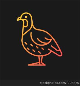 Partridge gradient vector icon for dark theme. Small domestic fowl. Commercial poultry raising. Grey landfowl breed. Thin line color symbol. Modern style pictogram. Vector isolated outline drawing. Partridge gradient vector icon for dark theme