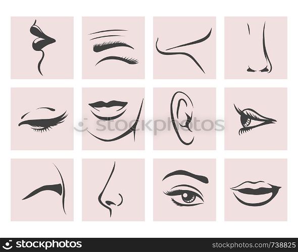 Parts of Female head. Lips, eye, ear, eyebrow, nose, chin and eyelashes. Vector illustration.