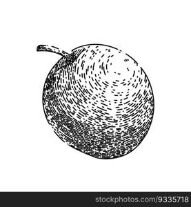 passion fruit ripe hand drawn. maracuya half, juice tropical, passiflora cut, fresh exotic, food seed passion fruit ripe vector sketch. isolated black illustration. passion fruit ripe sketch hand drawn vector