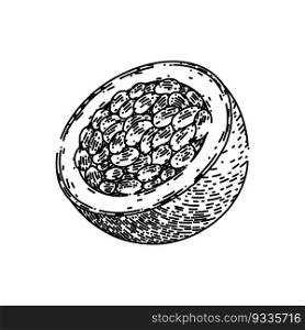 passion fruit slice hand drawn. maracuya half, juice tropical, passiflora ripe, fresh exotic, food seed passion fruit slice vector sketch. isolated black illustration. passion fruit slice sketch hand drawn vector