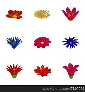 Passionflower icons set. Cartoon set of 9 passionflower vector icons for web isolated on white background. Passionflower icons set, cartoon style
