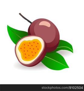 Passionfruits with leaves on white background. Organic exotic fruits, vector illustration in flat style. Tropical detox concept. Passionfruits with leaves on white background. Organic exotic fruits, vector illustration in flat style. Tropical detox