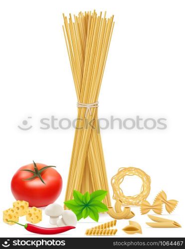 pasta with vegetables vector illustration isolated on white background