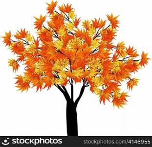 Pattern of autumn maples leaves on tree. Vector illustration.