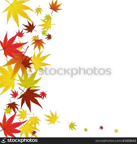 Pattern of autumn maples leaves. Vector illustration.