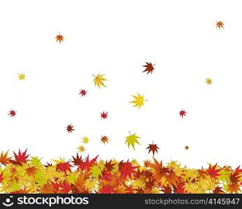 Pattern of autumn maples leaves. Vector illustration.