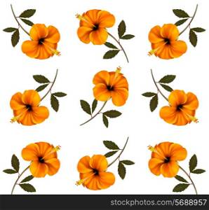 Pattern of beautiful yellow flowers. Vector.