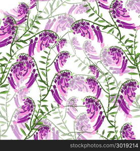 pattern of green branches with flowering purple flowers mouse peas isolated on white background