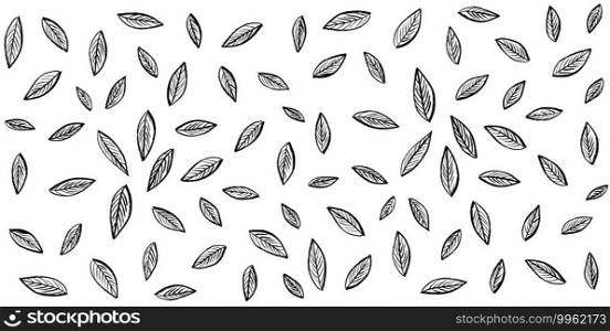 Pattern of tropical leaves isolated on white background. Floral Design elements. wedding invitations, greeting cards, blogs, posters. vector - Illustration