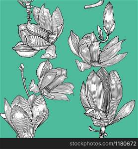 Pattern with blooming magnolia. Hand drawn.