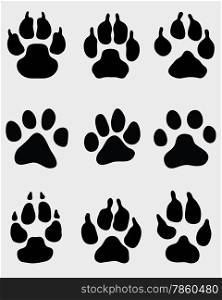 paw of dogs