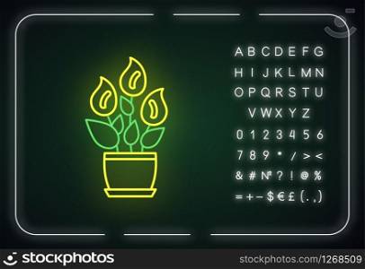 Peace lily neon light icon. Spathiphyllum wallisii. Floweing plant. Plant with white flowers. Outer glowing effect. Sign with alphabet, numbers and symbols. Vector isolated RGB color illustration