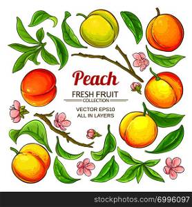 peach elements vector set on white background. peach elements vector set