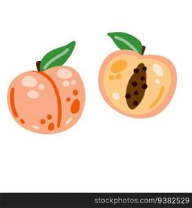 Peach fruit. Fresh sweet natural pink food. Flat modern cartoon illustration isolated on white background. Peach fruit. Fresh sweet natural pink food.