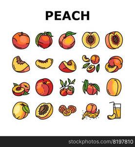 peach fruit nectarine juicy icons set vector. orange leaf, slice fresh food, yellow sweet summer, red cut ripe, organic nature peach fruit nectarine juicy color line illustrations. peach fruit nectarine juicy icons set vector