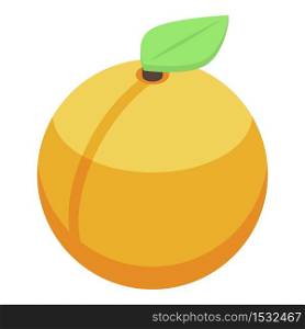 Peach icon. Isometric of peach vector icon for web design isolated on white background. Peach icon, isometric style