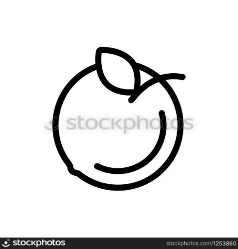 Peach icon vector. Thin line sign. Isolated contour symbol illustration. Peach icon vector. Isolated contour symbol illustration
