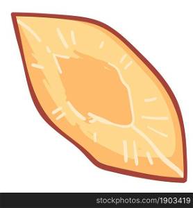 Peach or nectarine cut in half, isolated vegetarian dessert or healthy and useful nutrition. Vegan and refreshing meal for dieting. Homegrown apricots, market or organic shop. Vector in flat style. Piece of peach or nectarine, apricot fruit vector