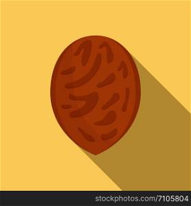 Peach seed icon. Flat illustration of peach seed vector icon for web design. Peach seed icon, flat style