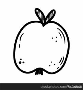 Peach sketch. Vector doodle illustration.  Fruit on white background.