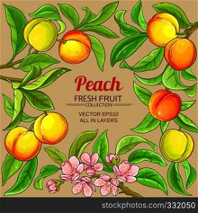 peach vector frame on color background. peach vector frame