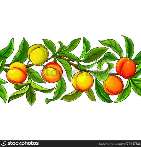 peach vector pattern on white background. peach vector pattern