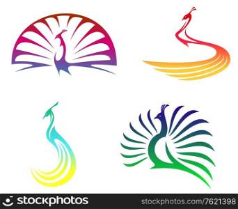 Peacock birds with colorful feathers isolated on white for mascot or any another design