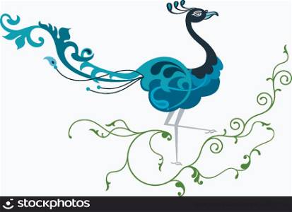 Peacock Calligraphic