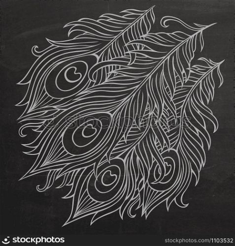 Peacock chalkboard abstract hand drawn decorative feathers vector. Peacock feathers chalkboard vector