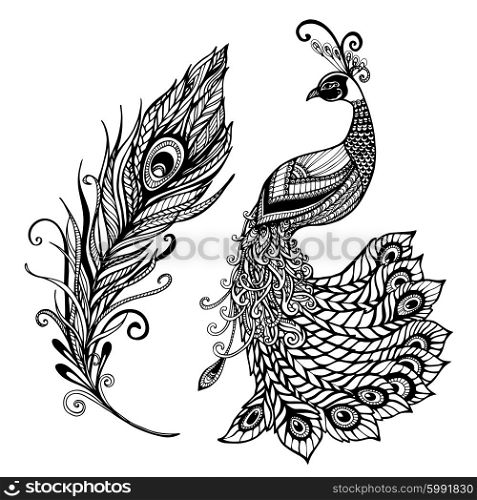 Peacock feather design black doodle print. Decorative stylized peacock bird feather art deco design template for wall frames doodle black abstract vector illustration