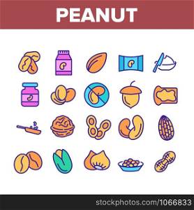 Peanut Food Collection Elements Icons Set Vector Thin Line. Peanut Oil And Butter, Acorn And Hazel, Coffee Beans And Cocoa, Walnut And Nut Concept Linear Pictograms. Color Contour Illustrations. Peanut Food Collection Elements Icons Set Vector